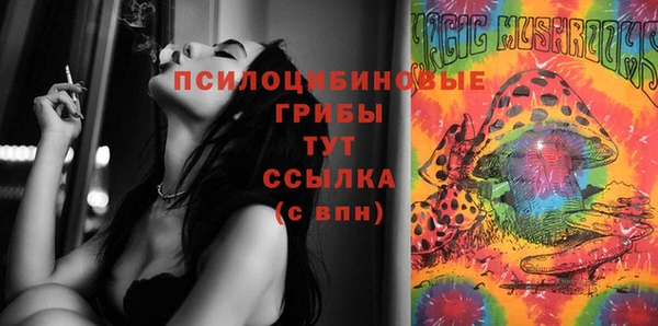 дурь Покачи