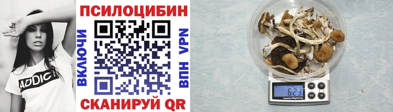 Псилоцибиновые грибы прущие грибы  Купить  Северобайкальск 