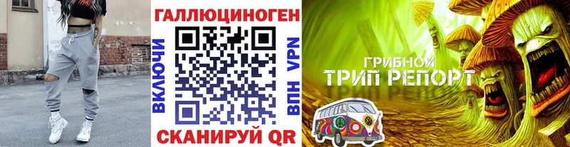 Галлюциногенные грибы Cubensis Северобайкальск